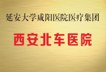 延安大学咸阳医院医疗集团